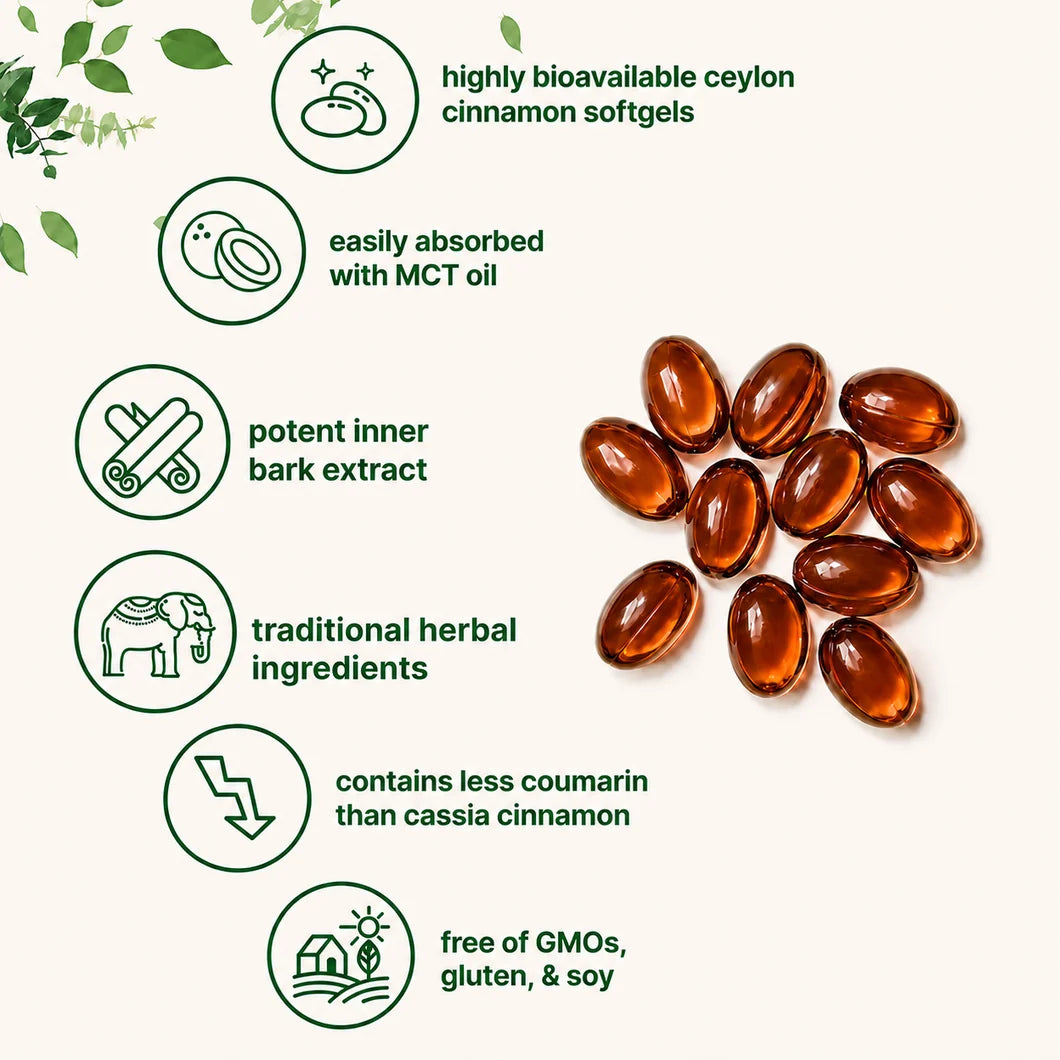 Noralife Ceylon Cinnamon 7200mg Equivelant
