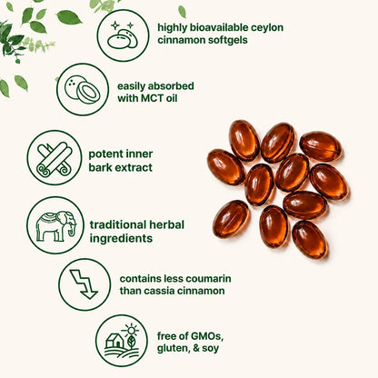 Noralife Ceylon Cinnamon 7200mg Equivelant
